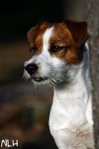 090612 inka.JPG - Tähystys
